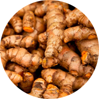 turmeric