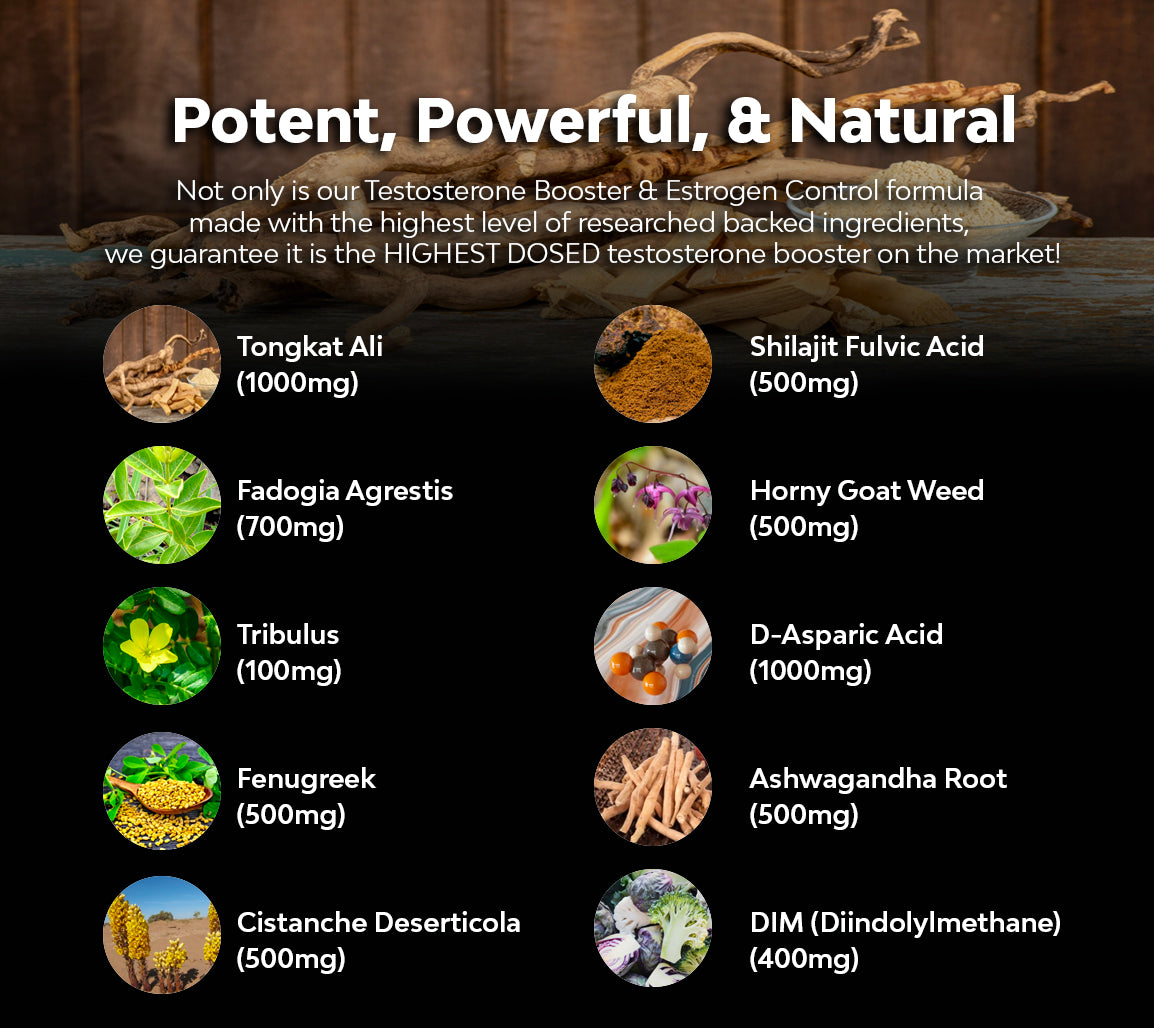 Premium PCT (Post-Cycle Therapy Supplement) – Testosterone Booster & Estrogen Blocker | Natural Aromatase Inhibitor