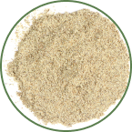 milk_thistle_powder